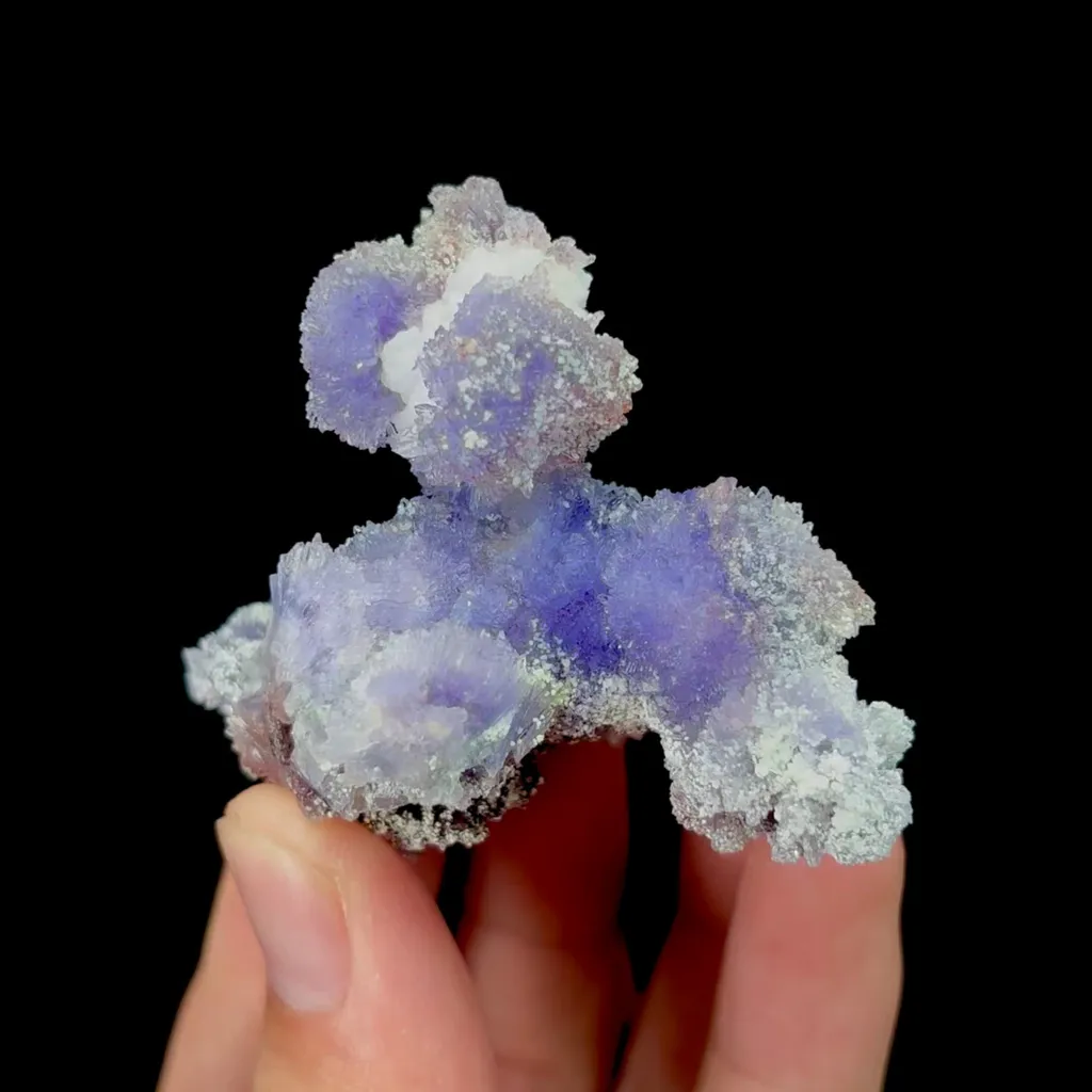 specimen video