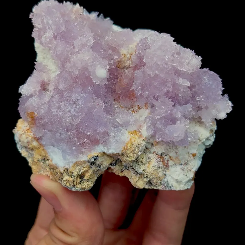 specimen video