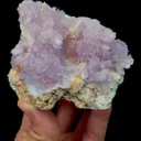 specimen video
