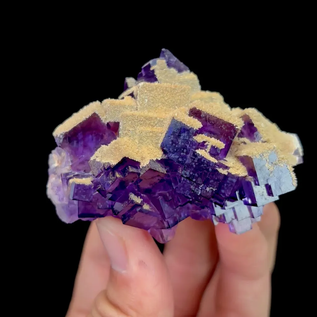 specimen video