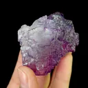 Natural Purple Octahedral Fluorite and Pyrite, Mineral Specimen: Yaogangxian,Hunan (50*45*50MM) - image 4