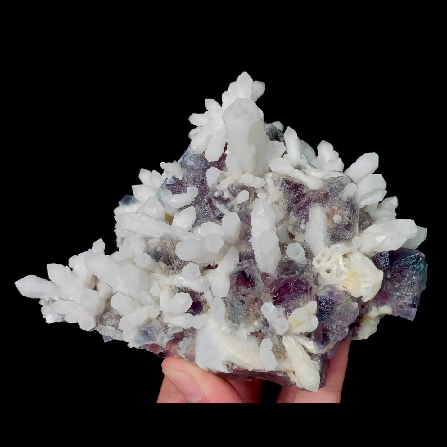 specimen video