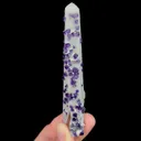 specimen video