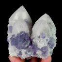specimen video