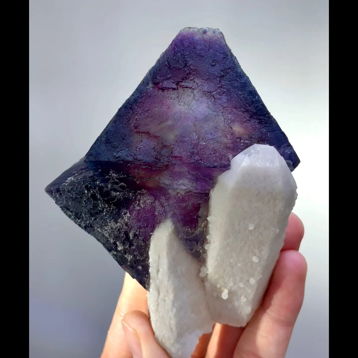 specimen video