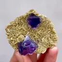 specimen video