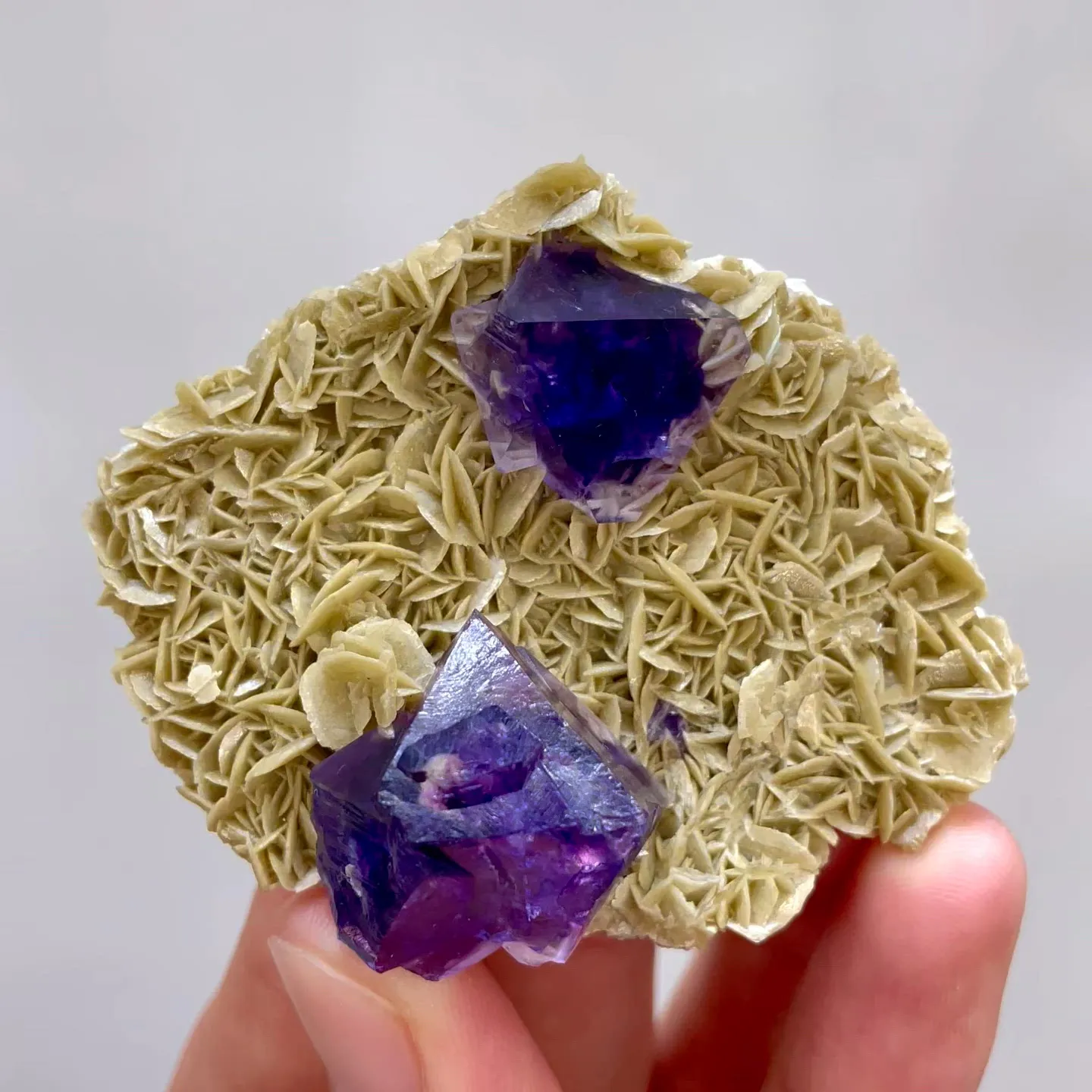 specimen video