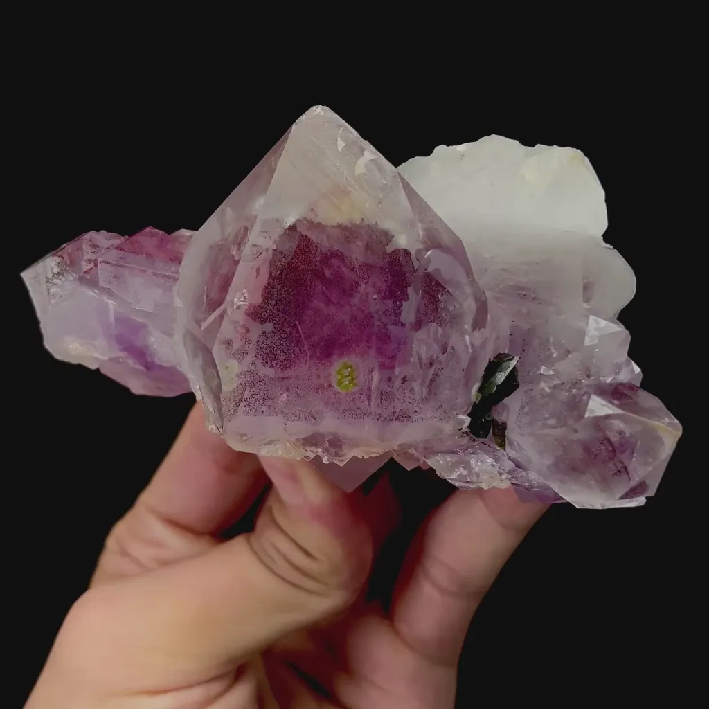 specimen video