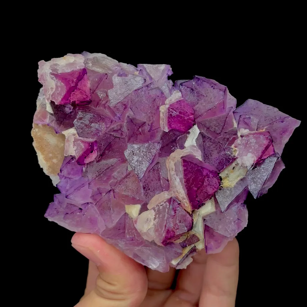 specimen video