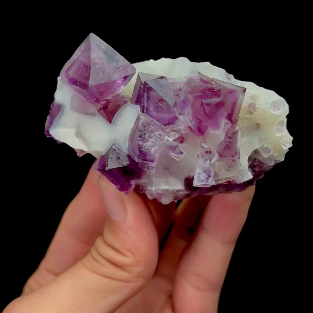 specimen video