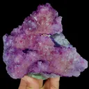 specimen video