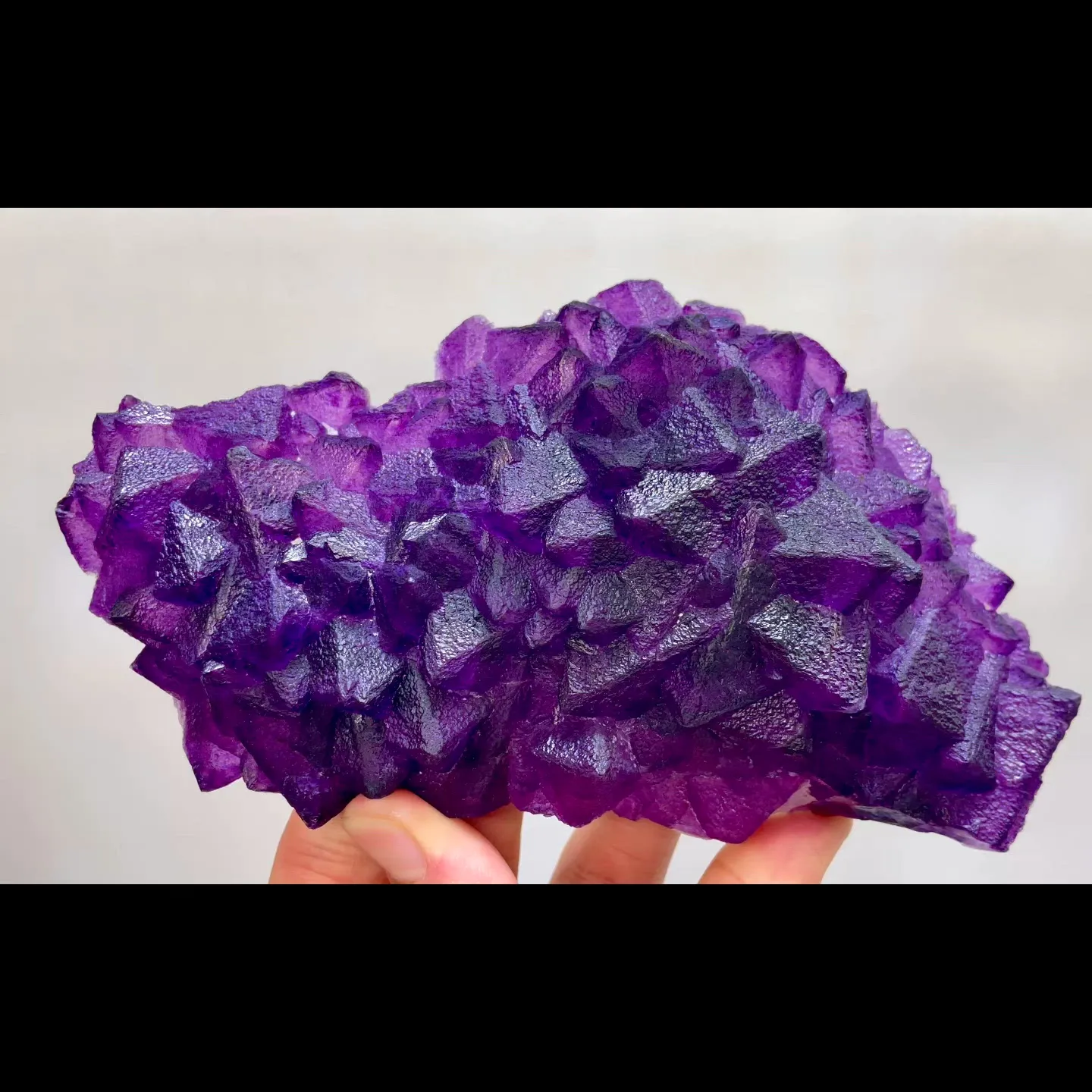 specimen video