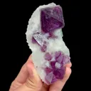 specimen video