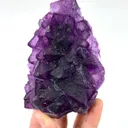 specimen video