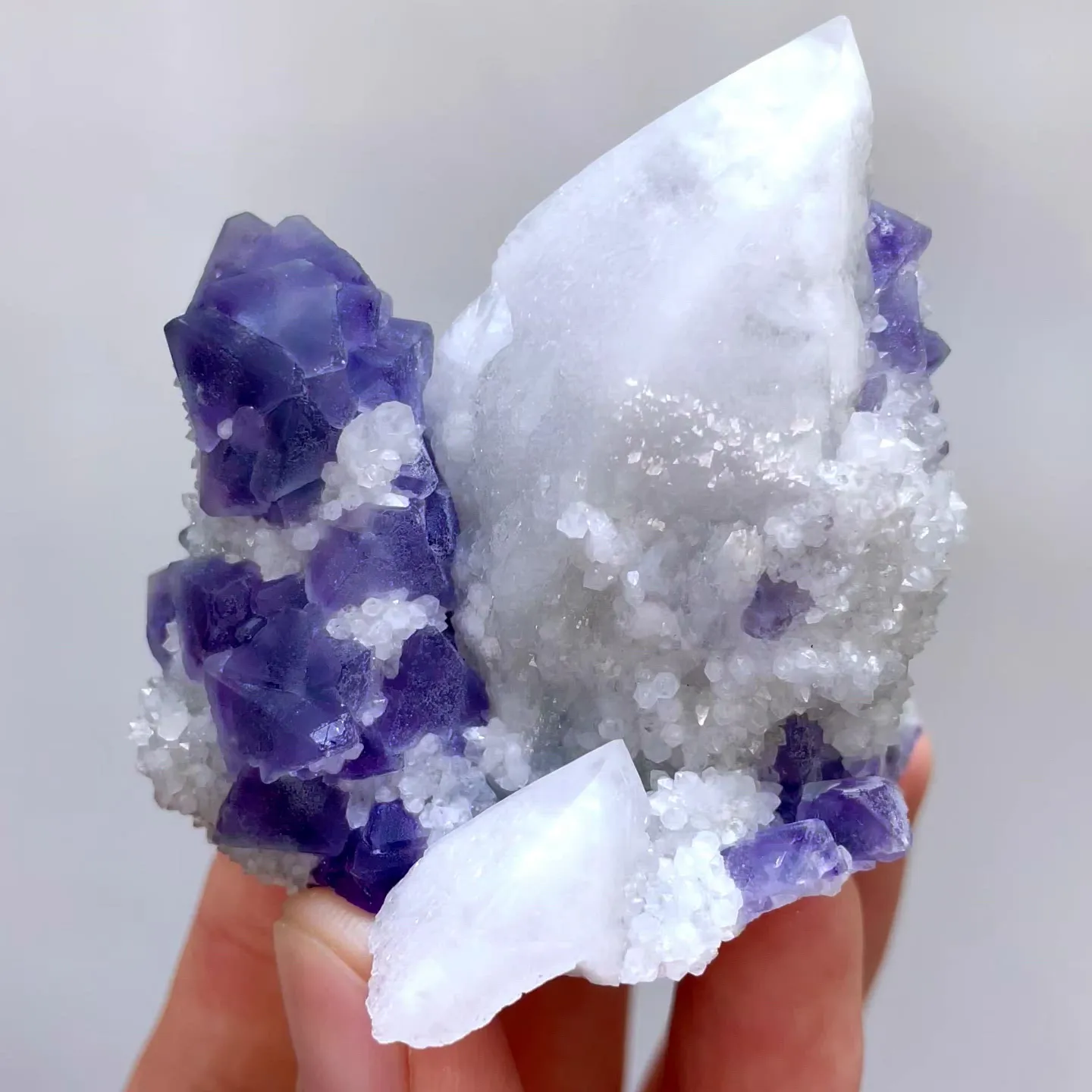 specimen video