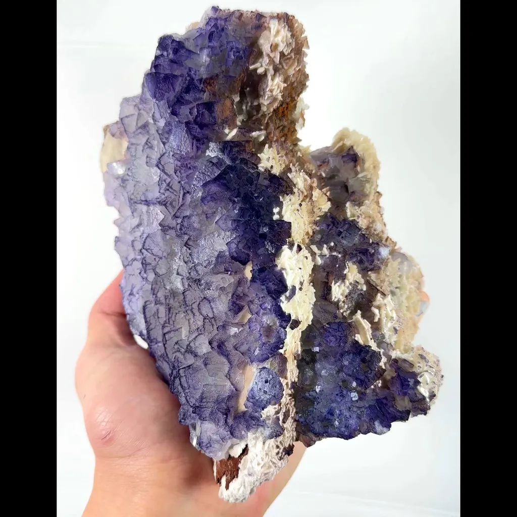 specimen video