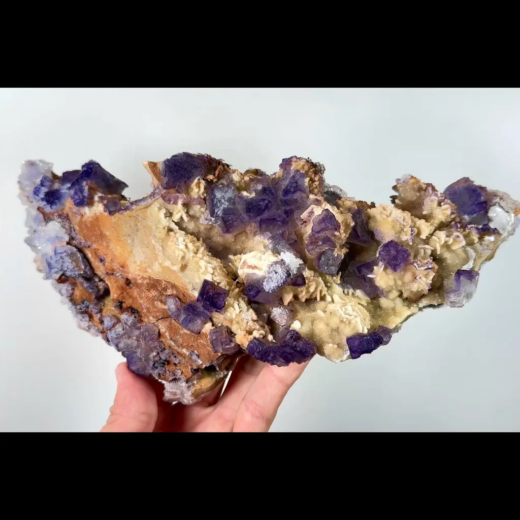 specimen video