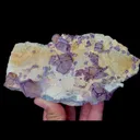 specimen video