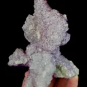 specimen video