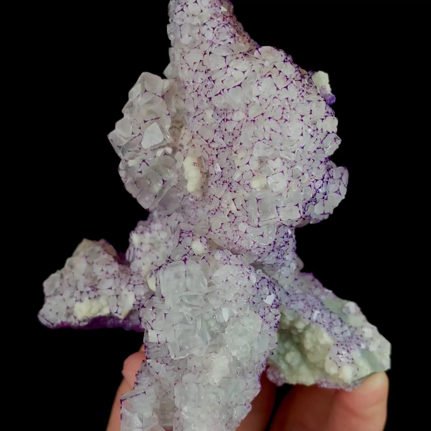 specimen video