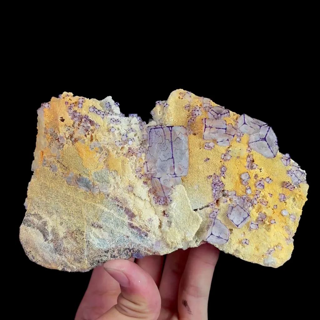 specimen video