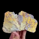 specimen video