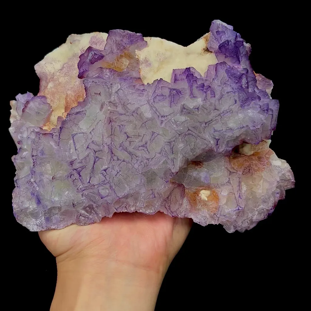 specimen video