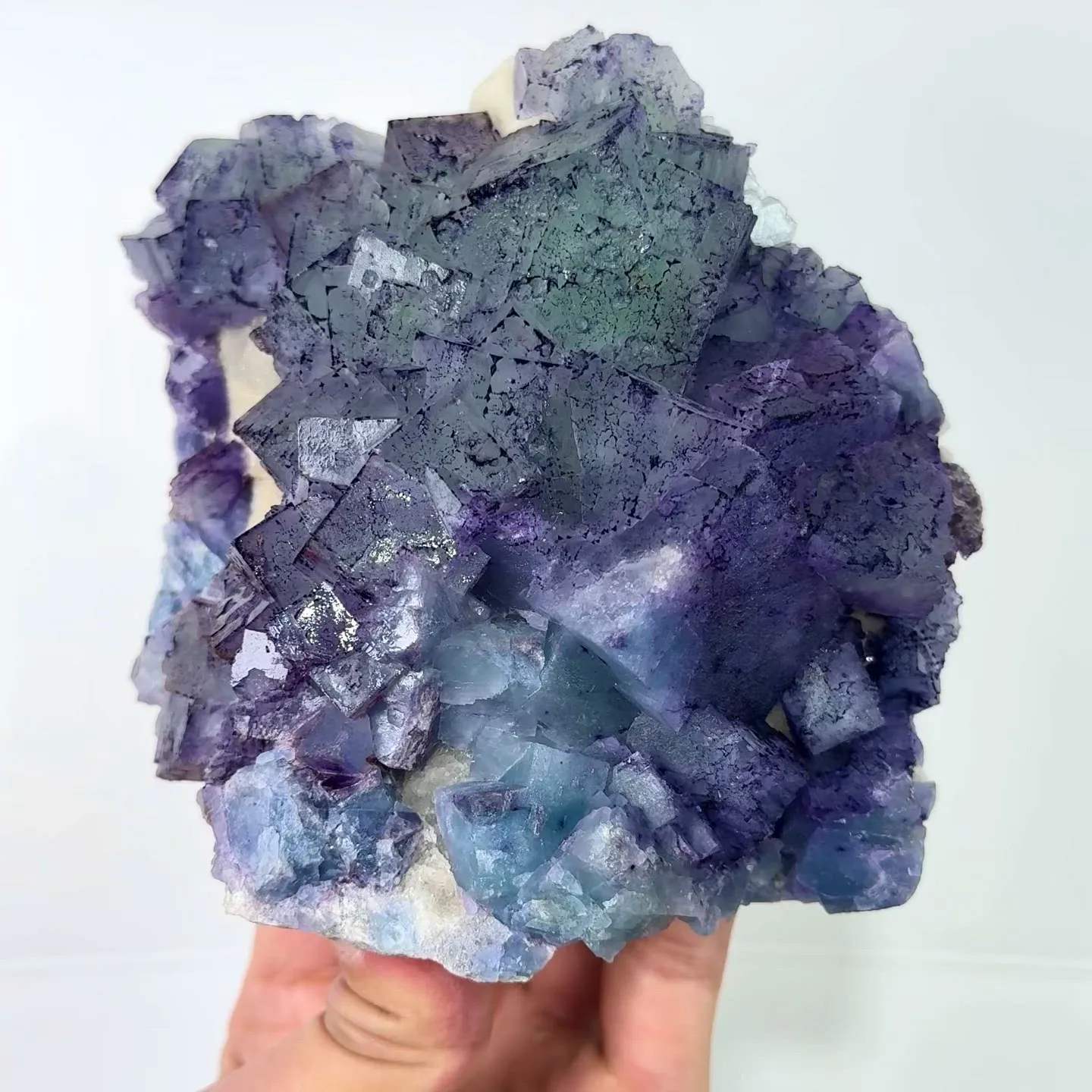 specimen video