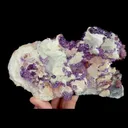 specimen video