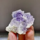 Natural Purple Phantom Cube Fluorite and Dolomite Symbiosis comes from Shangbao,Hunan 45*40*35MM - image 3
