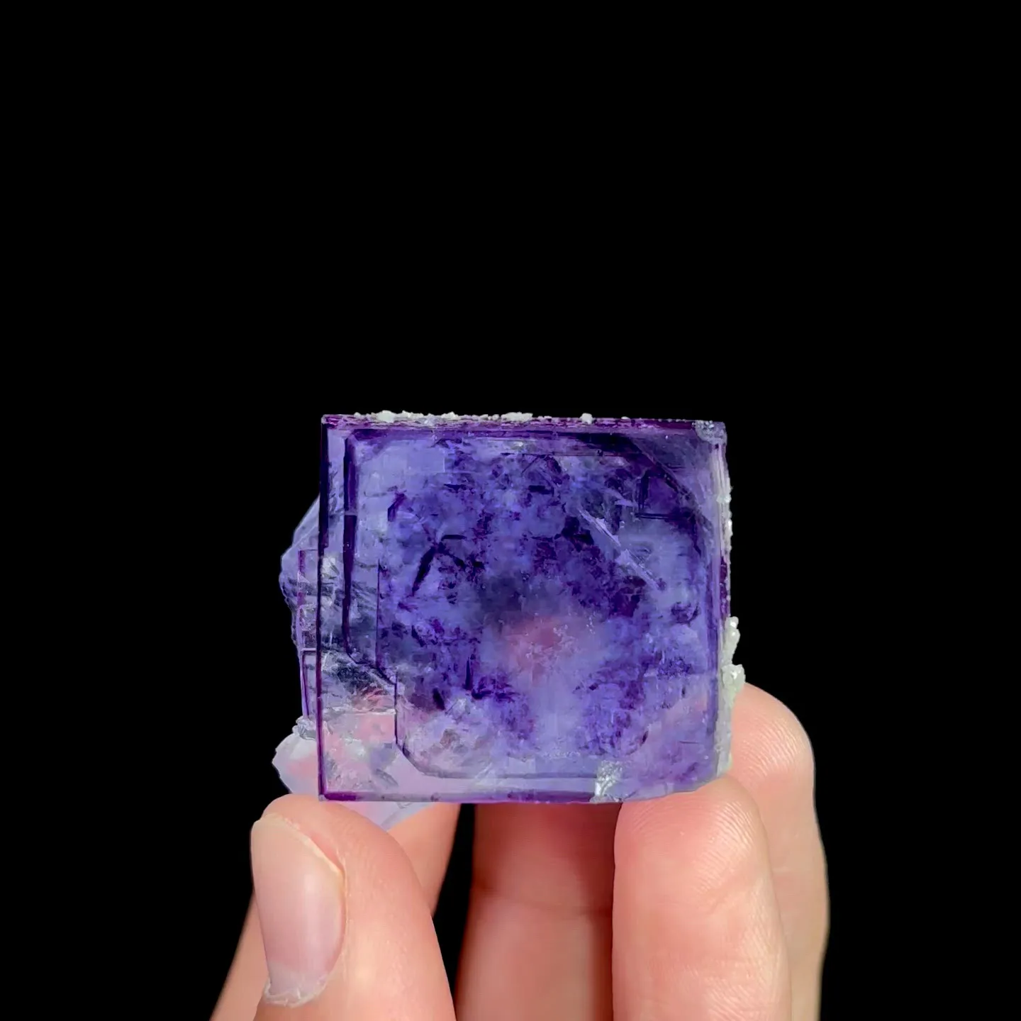 specimen video