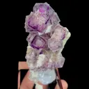 specimen video