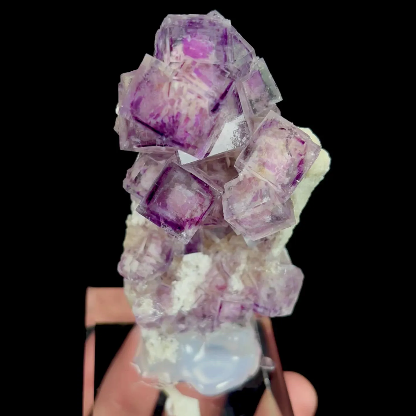 specimen video