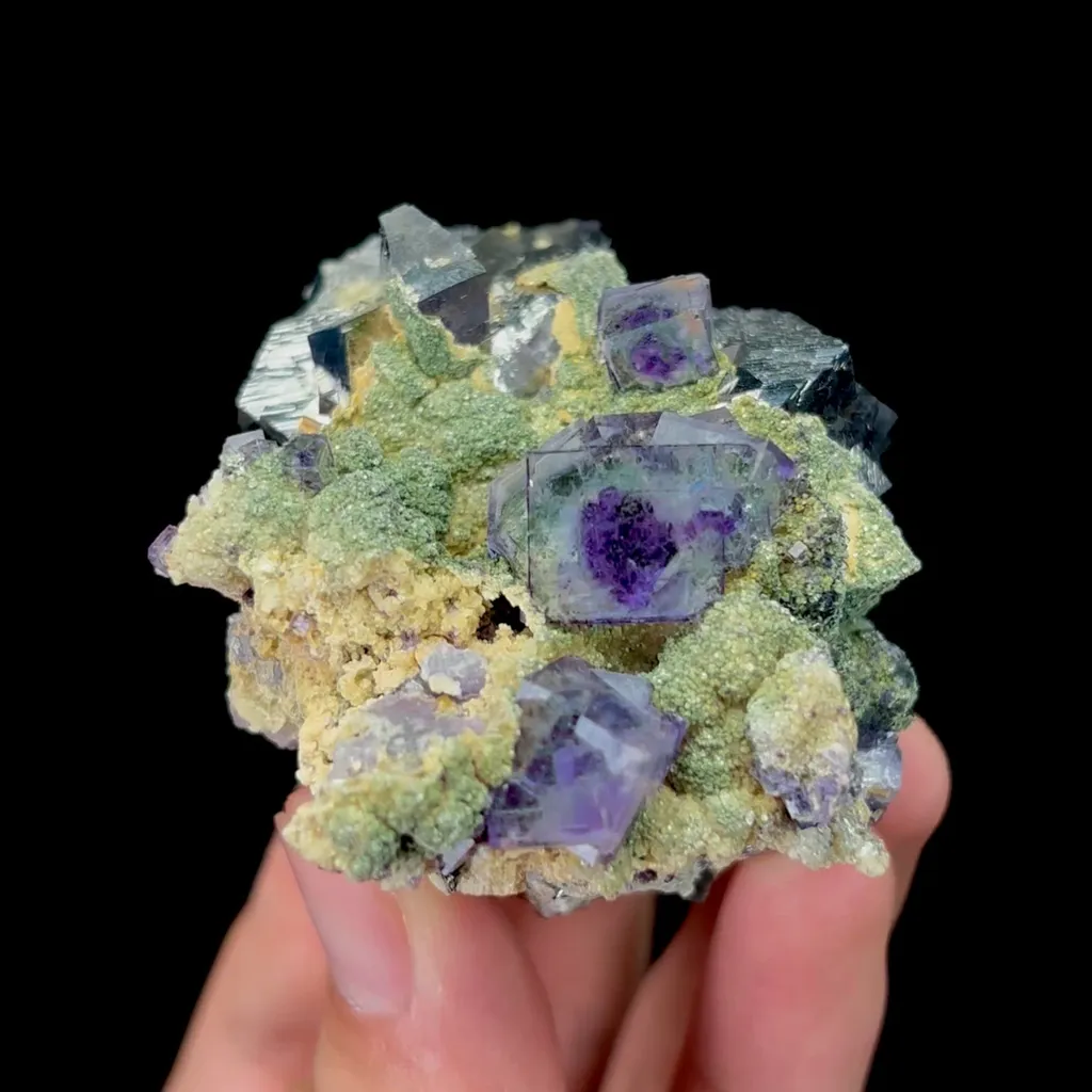 specimen video