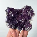 specimen video