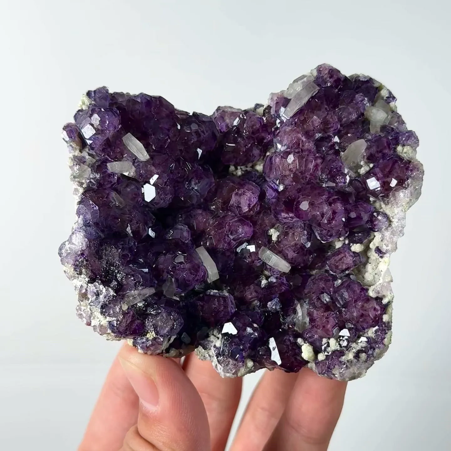 specimen video