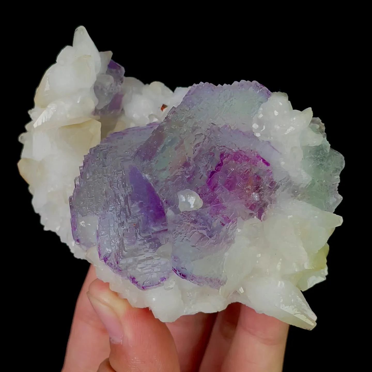 specimen video