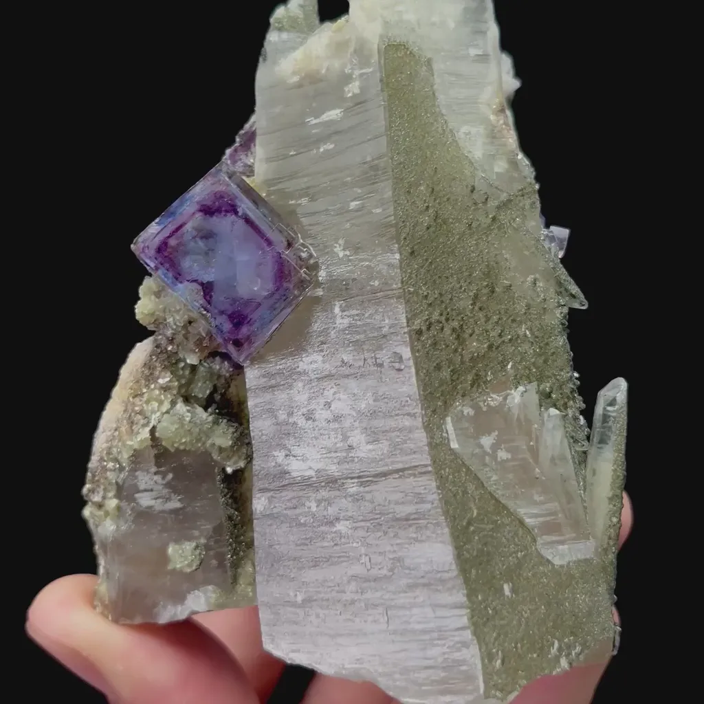 specimen video