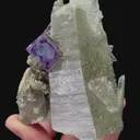 specimen video