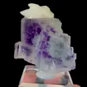 specimen video