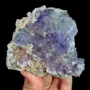 specimen video