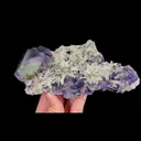specimen video