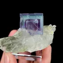 Natural Purple Phantom Fluorite and Clear Quartz, Mineral Specimen:Yaogangxian,Hunan (55*35*25MM) - image 4