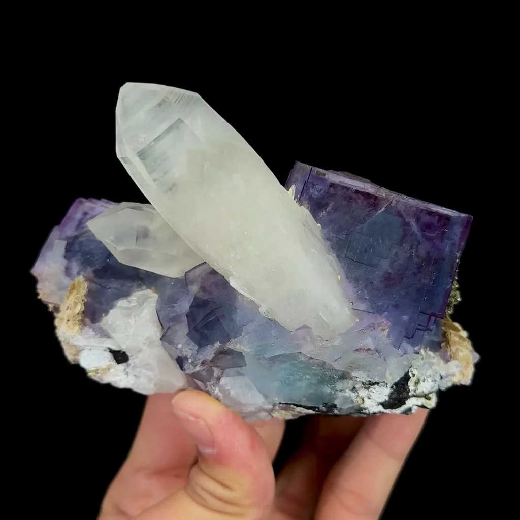 specimen video