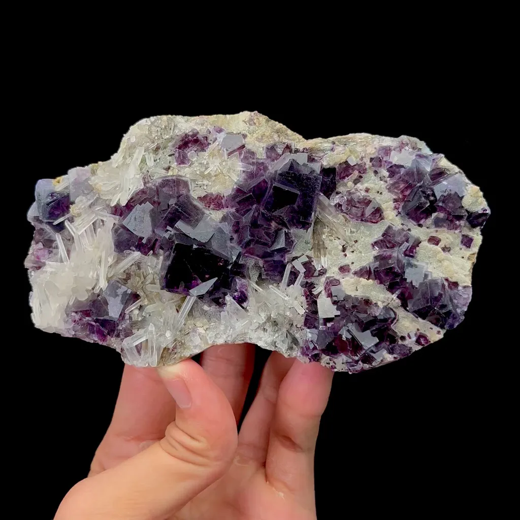 specimen video