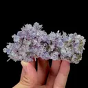 Natural Purple Phantom Fluorite and Crystal Mineral Specimen,High Quality Specimen,YINDU,INNER MONGOLIA,CHINA(55*32*108mm) - image 1