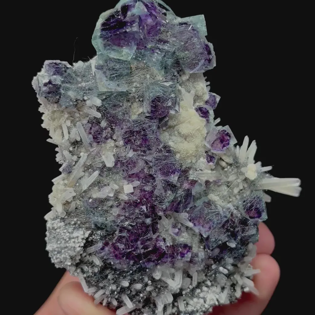 specimen video