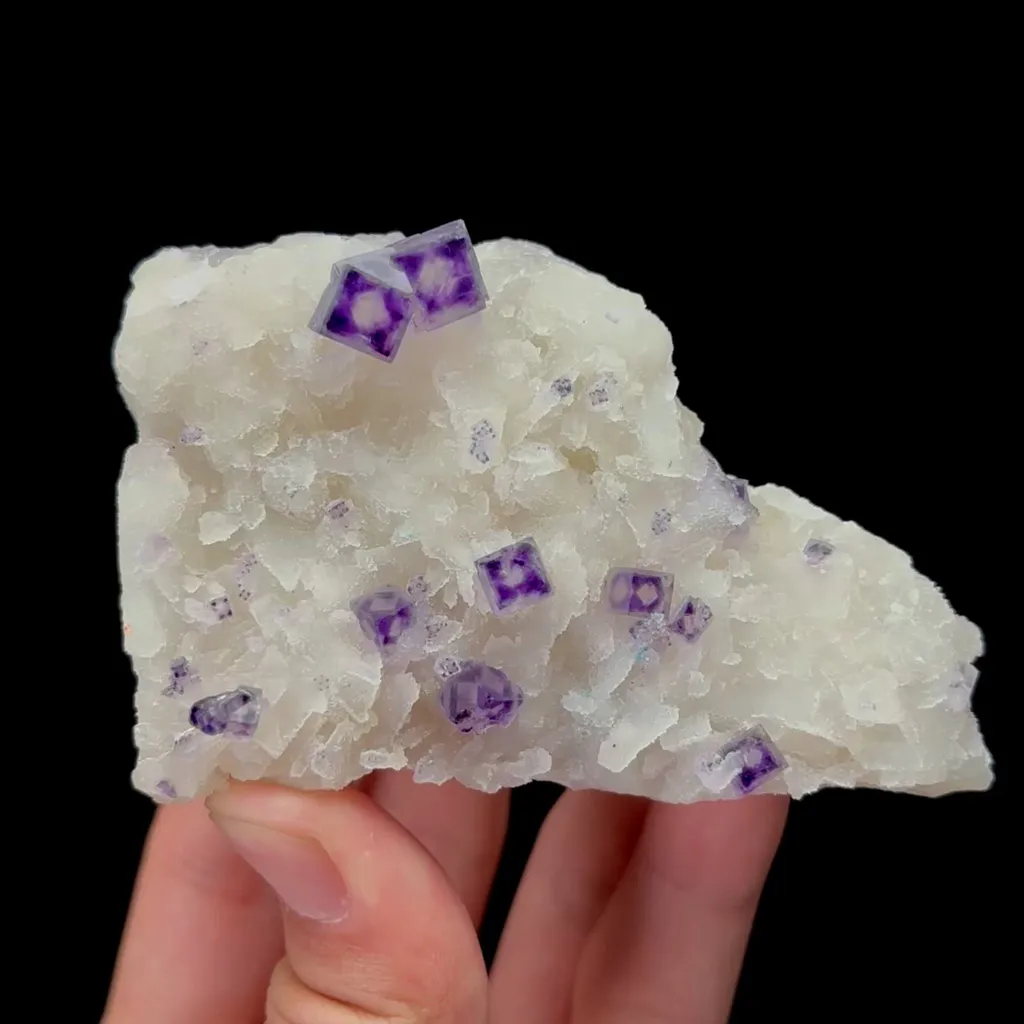 specimen video