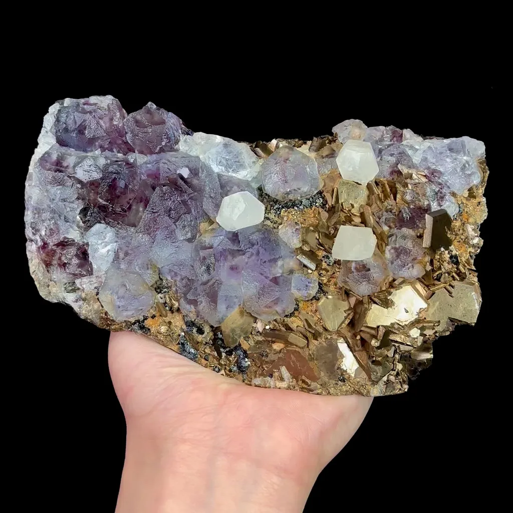 specimen video