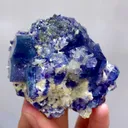 specimen video